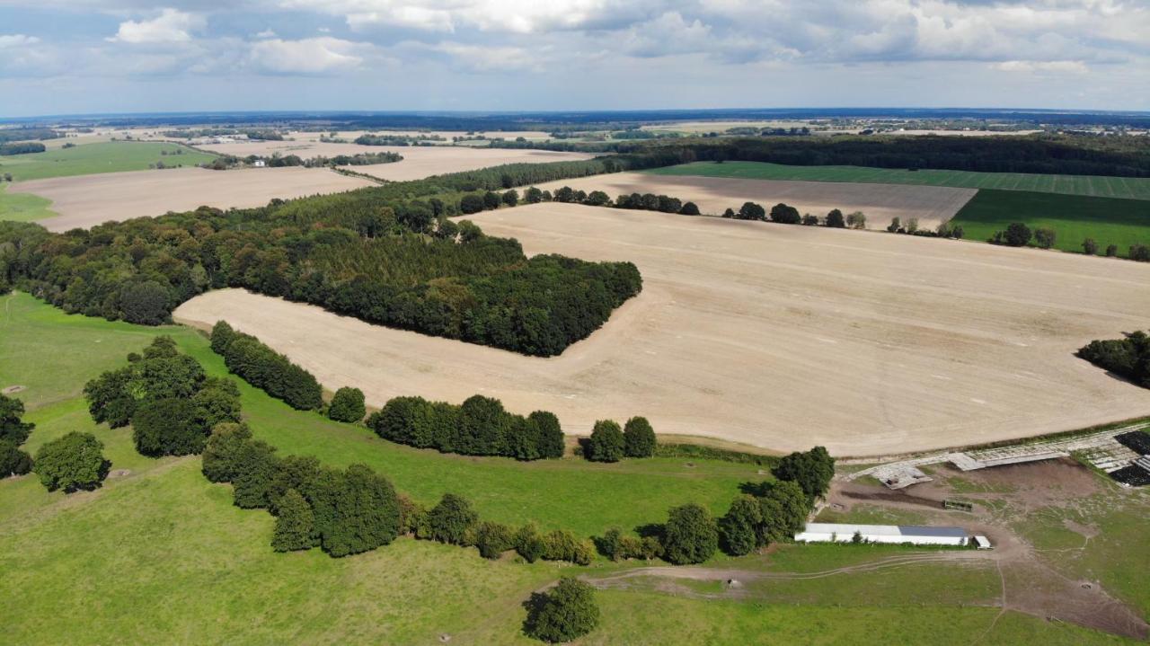 Peenehof Koeppen - Ferienwohnungen & Schlaffaesser Jordenstorf 外观 照片